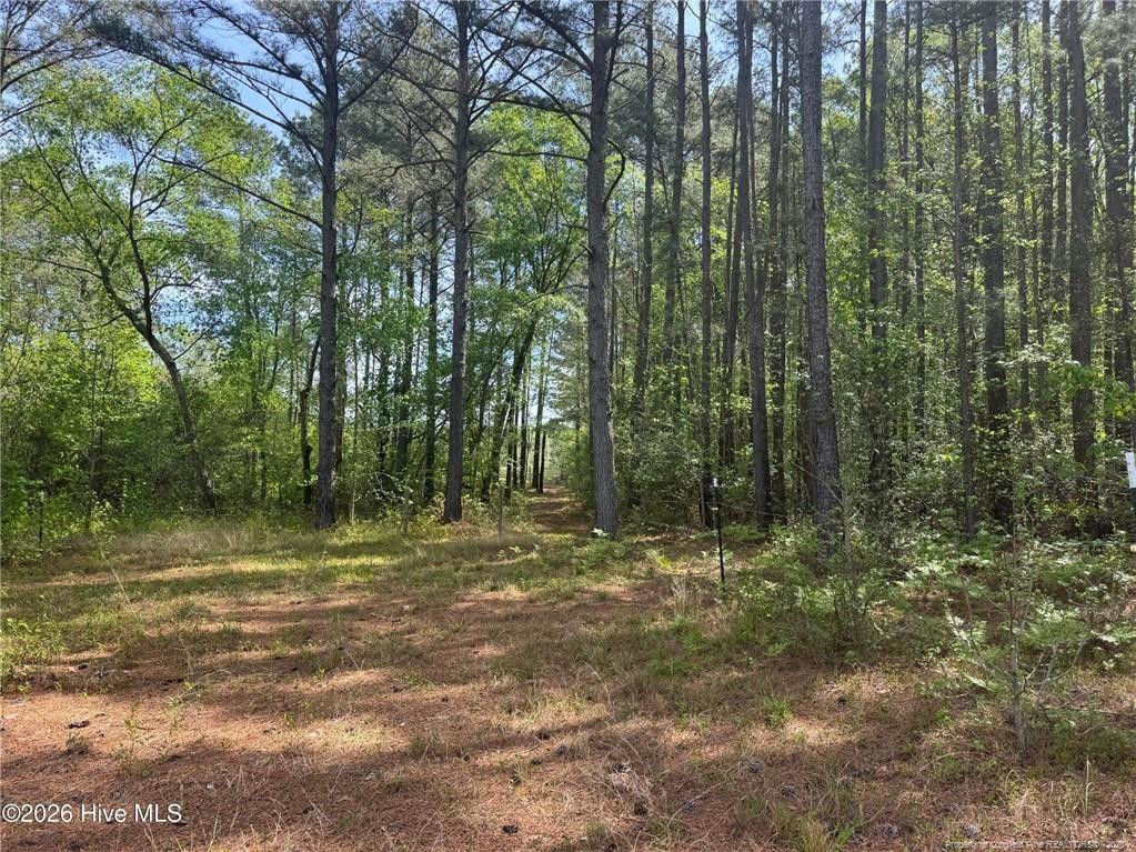 main property photo 31