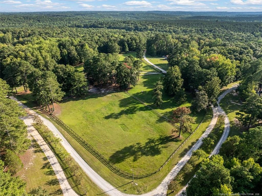 main property photo 42