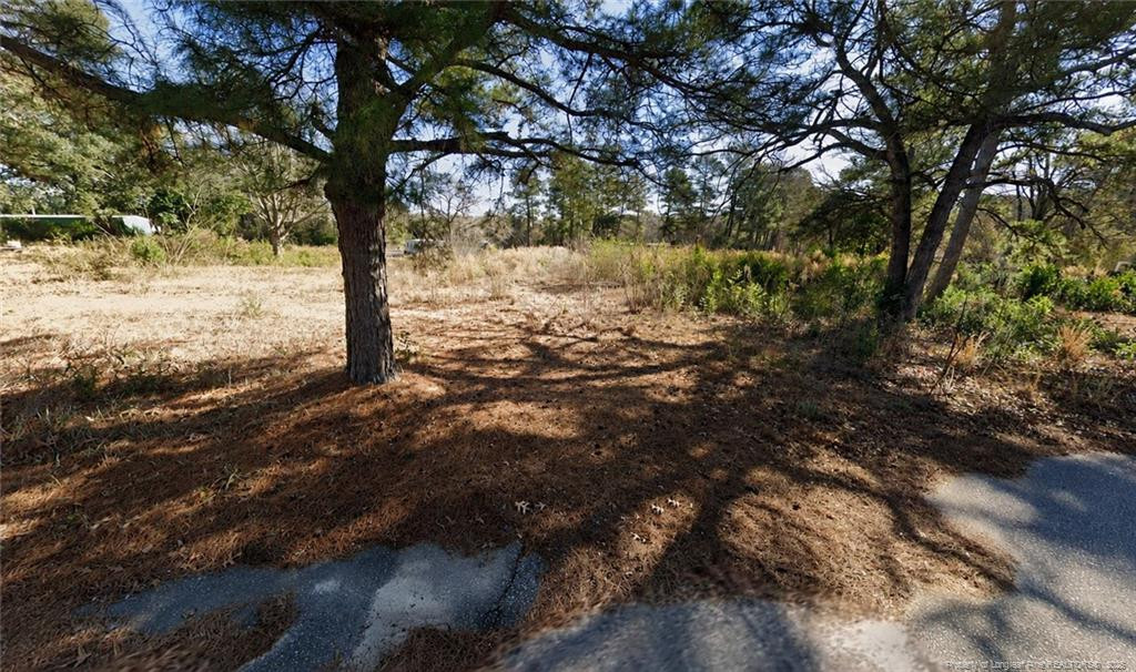 main property photo 4