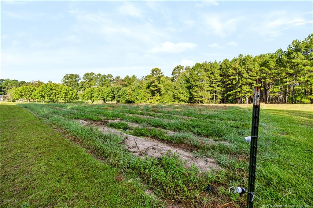 main property photo 45