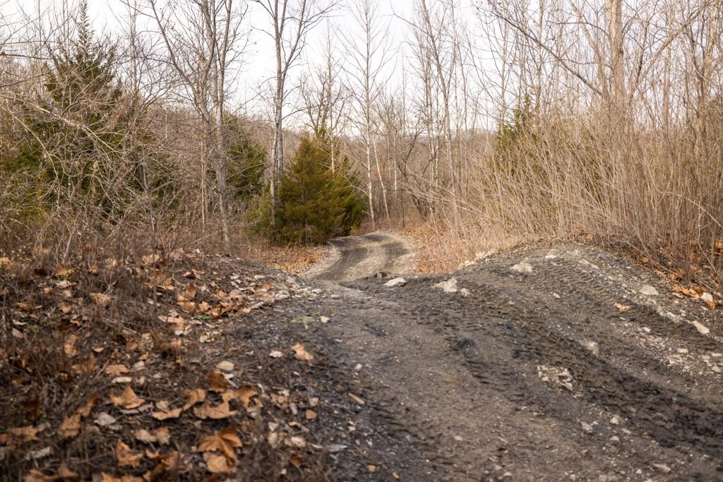 main property photo 77