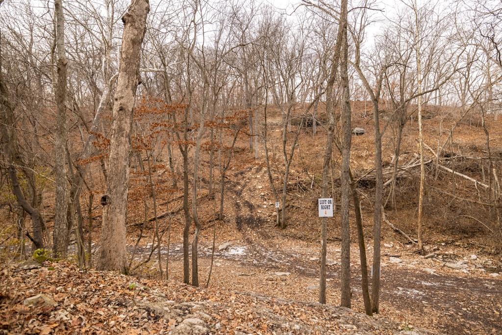 main property photo 78