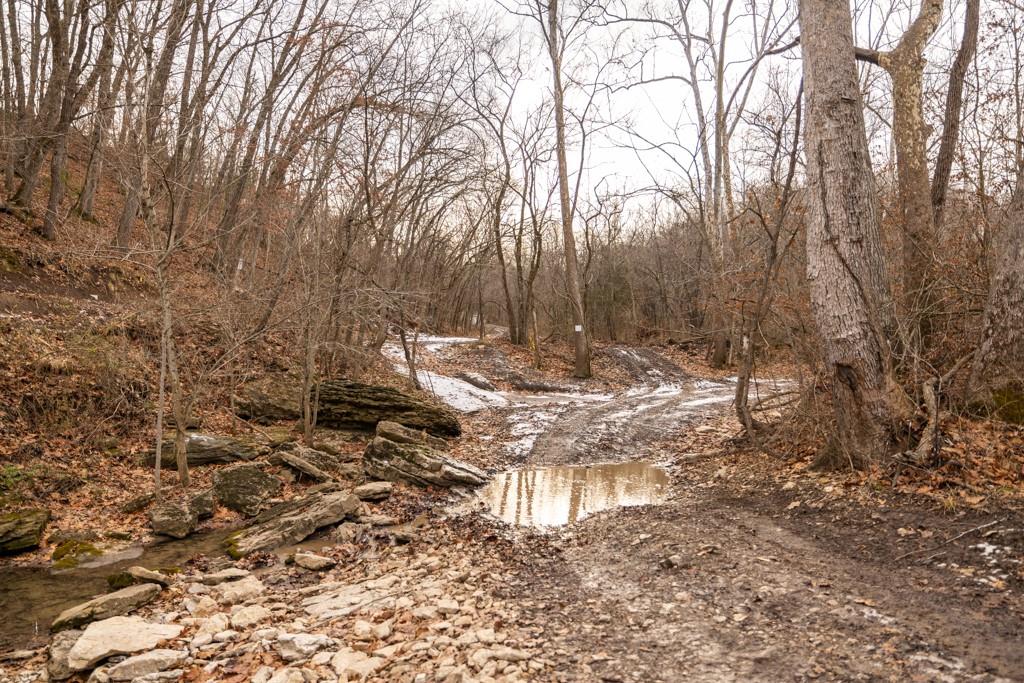 main property photo 80