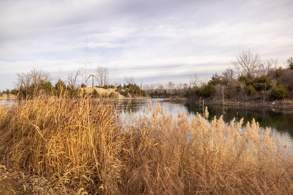 main property photo 87