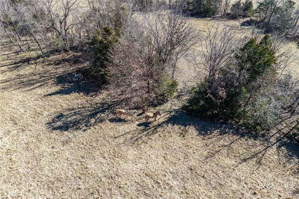 main property photo 58