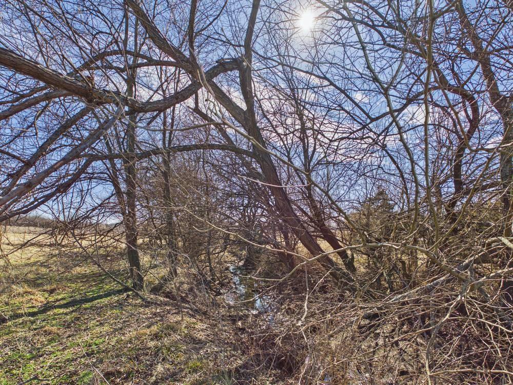main property photo 52