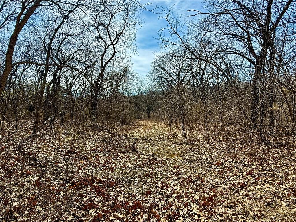 main property photo 26
