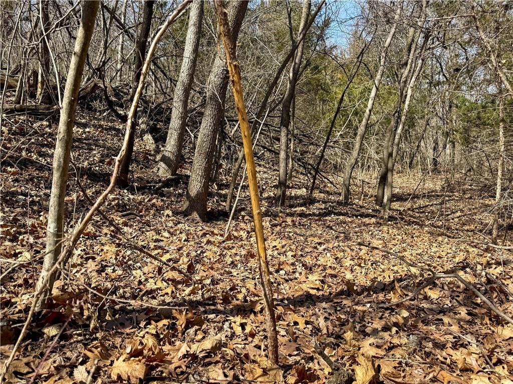 main property photo 31