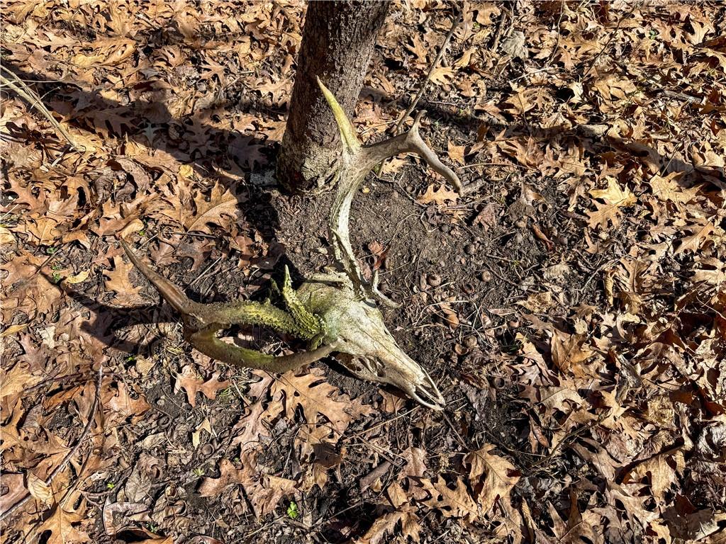 main property photo 36