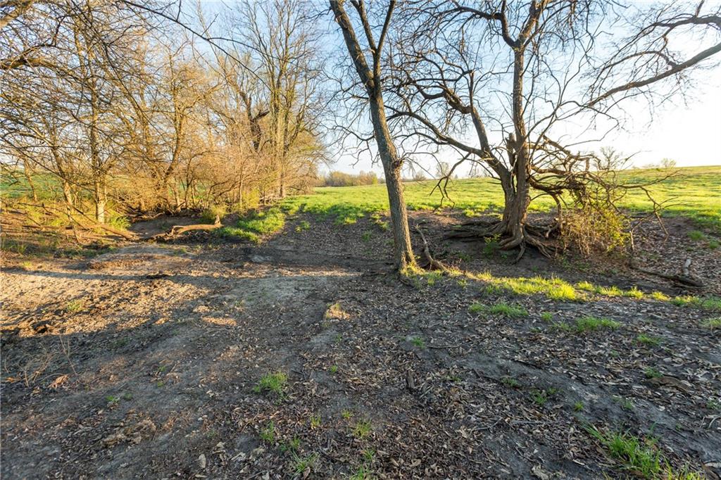 main property photo 41