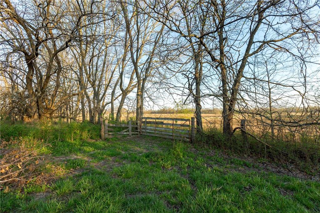 main property photo 54