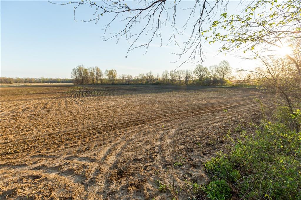 main property photo 56