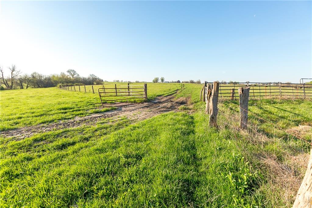 main property photo 81