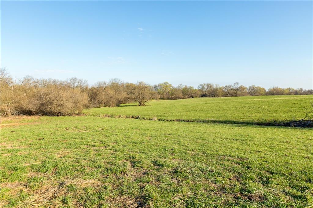 main property photo 94
