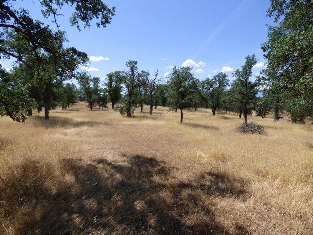 property viewer photo 3