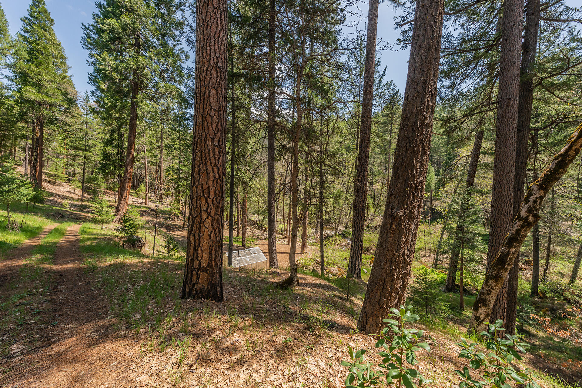 main property photo 40