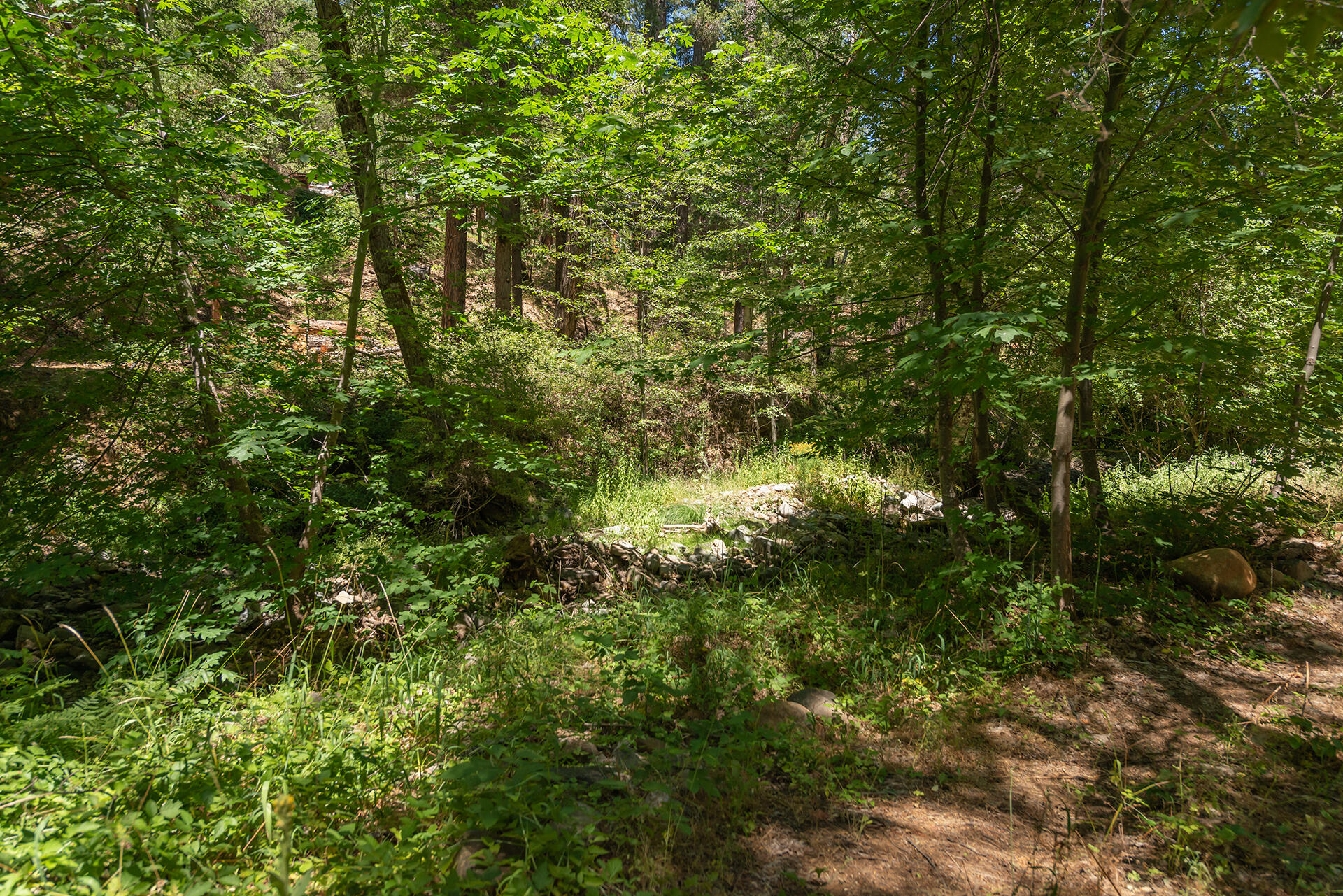 main property photo 48