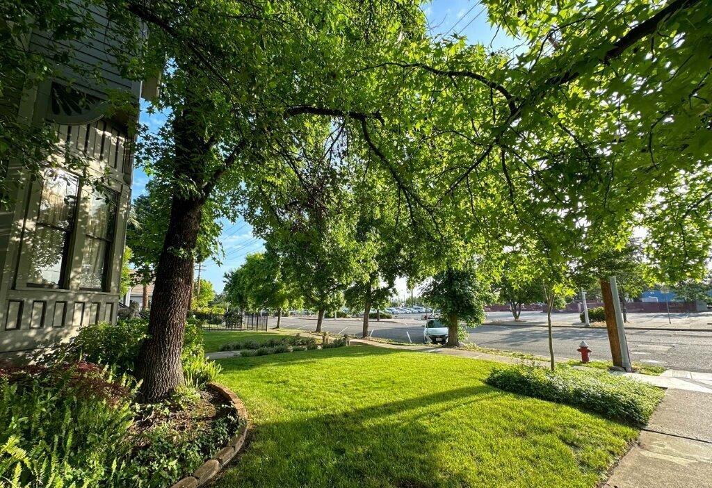 property viewer photo 54