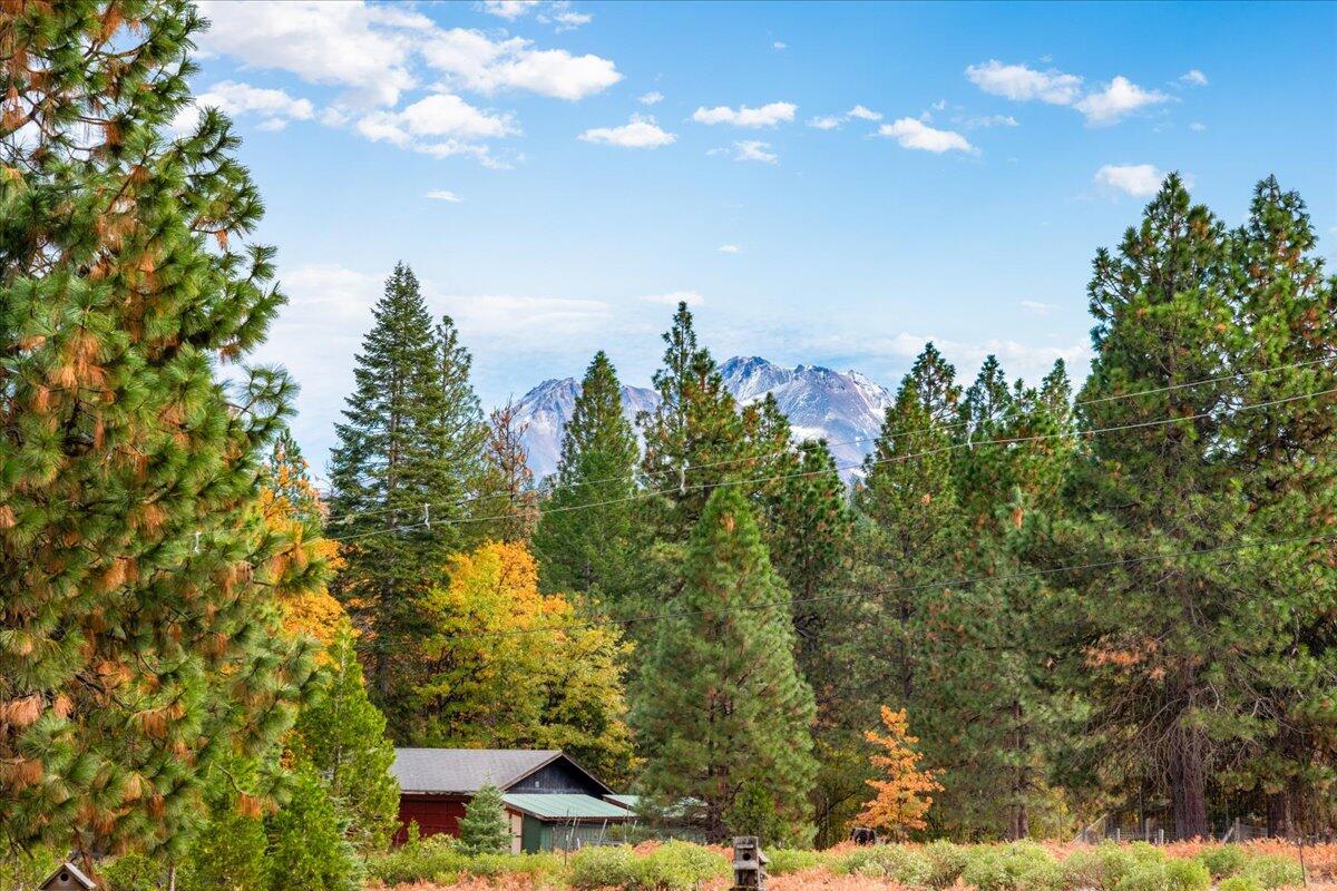 property viewer photo 26