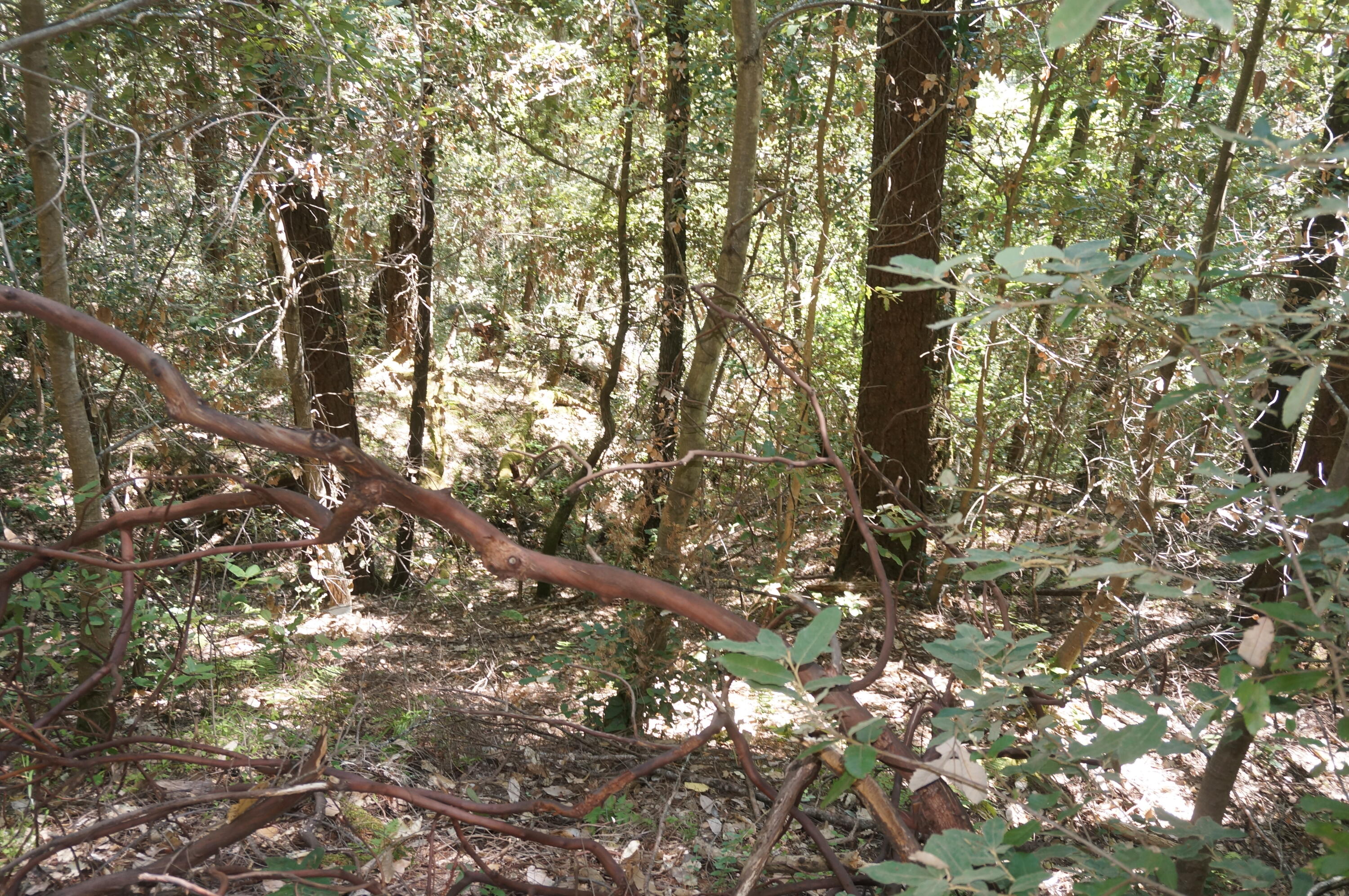 main property photo 10