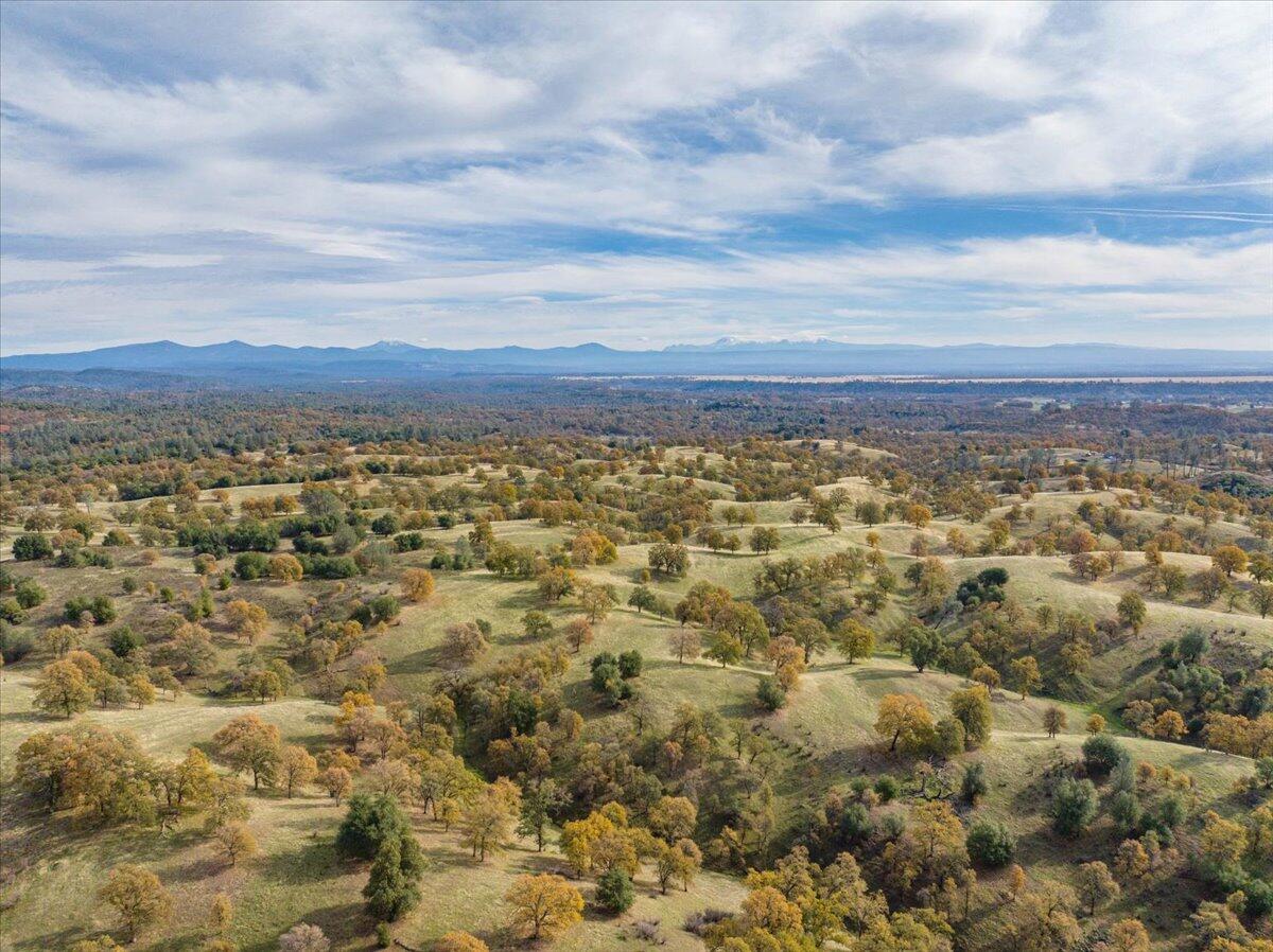property viewer photo 130