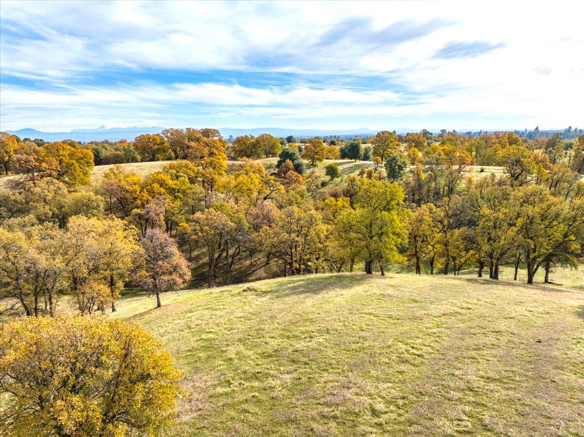 property viewer photo 139
