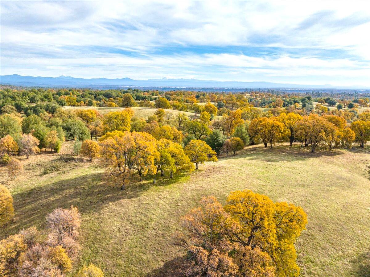 property viewer photo 14