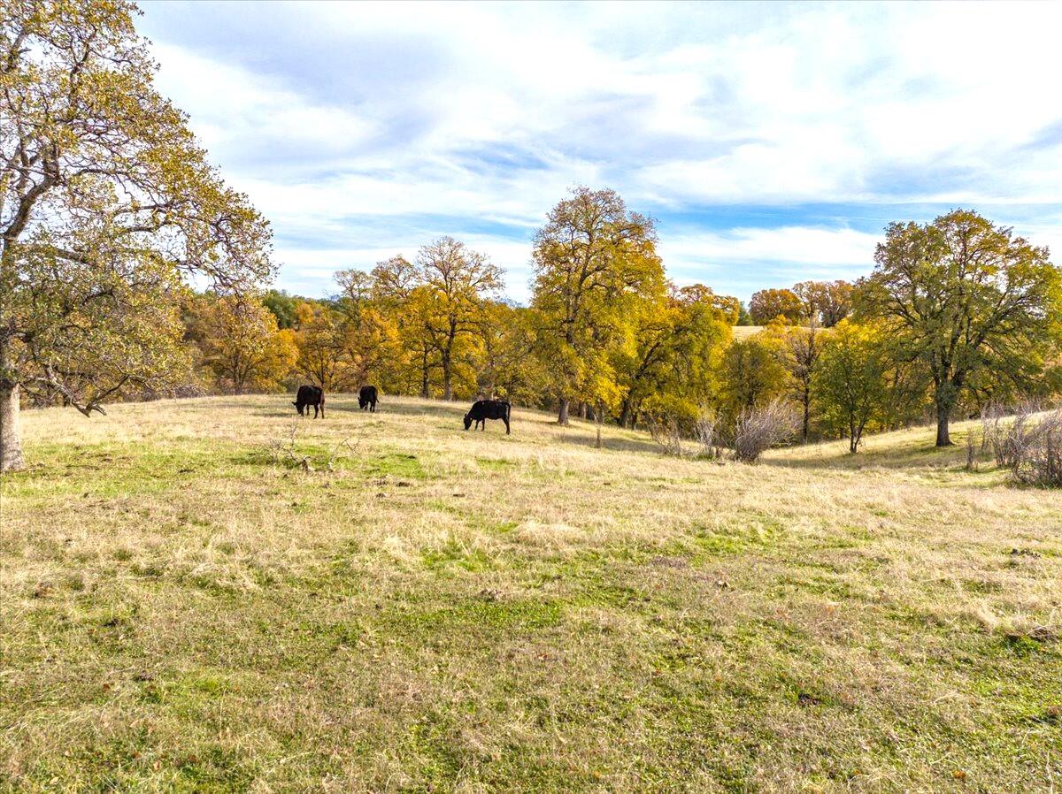property viewer photo 140