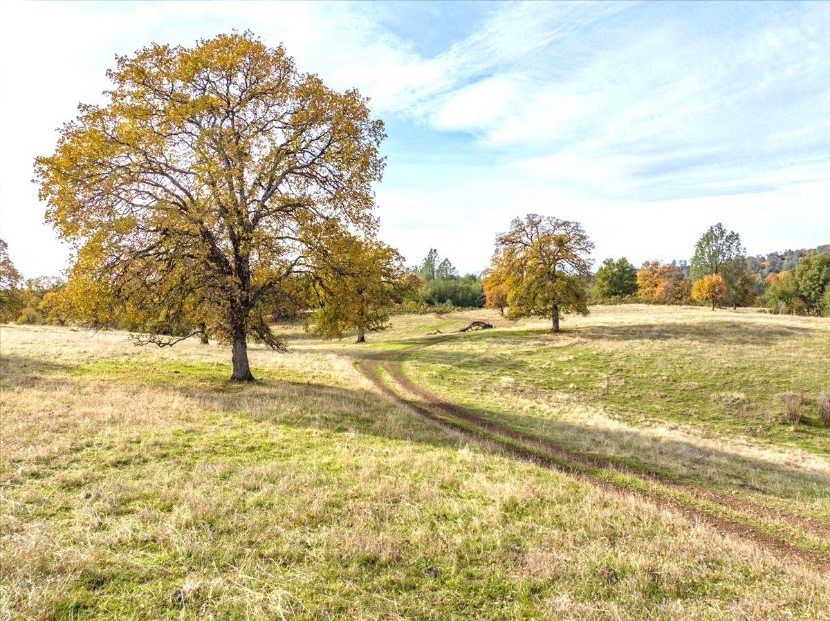 property viewer photo 141