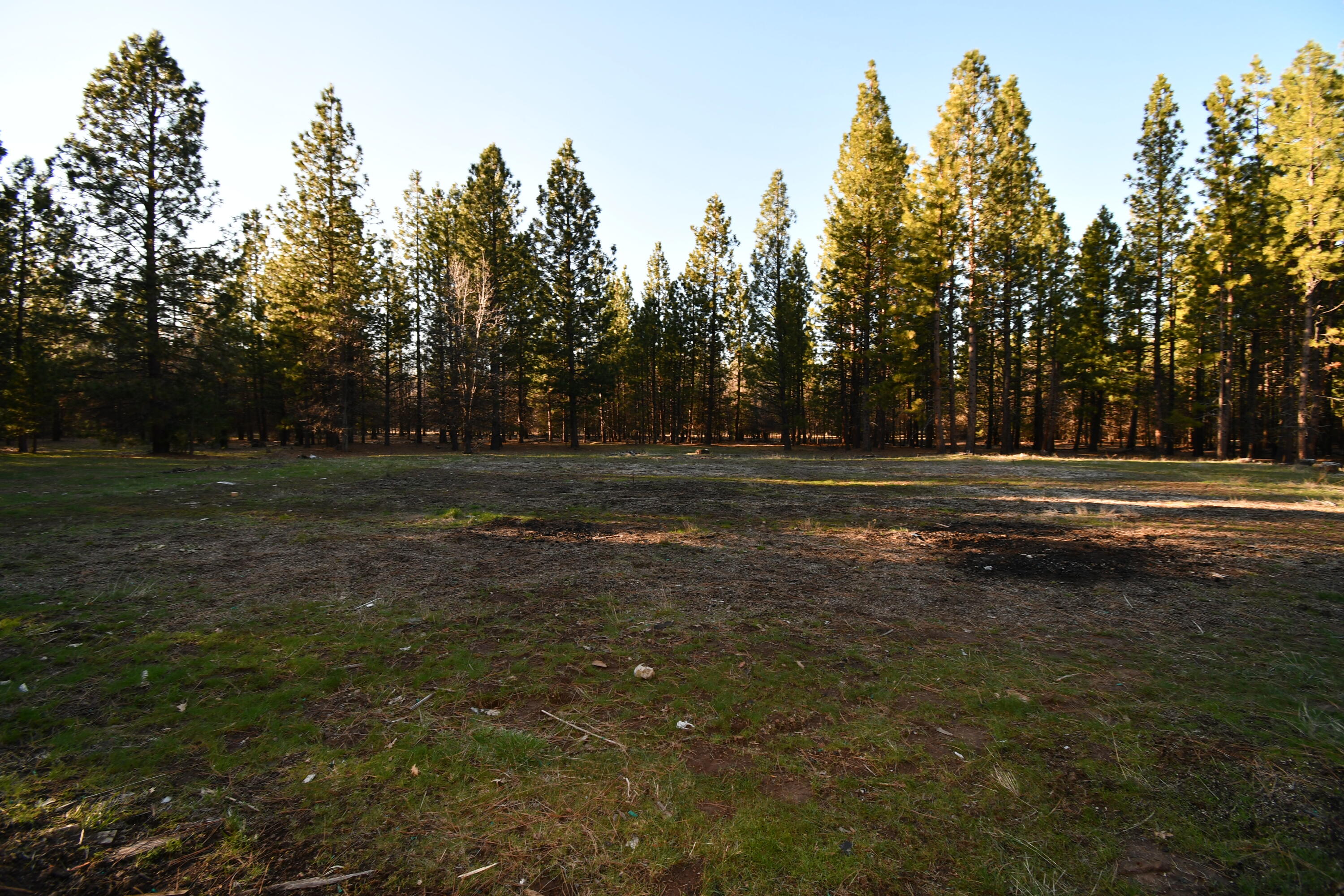 property viewer photo 39