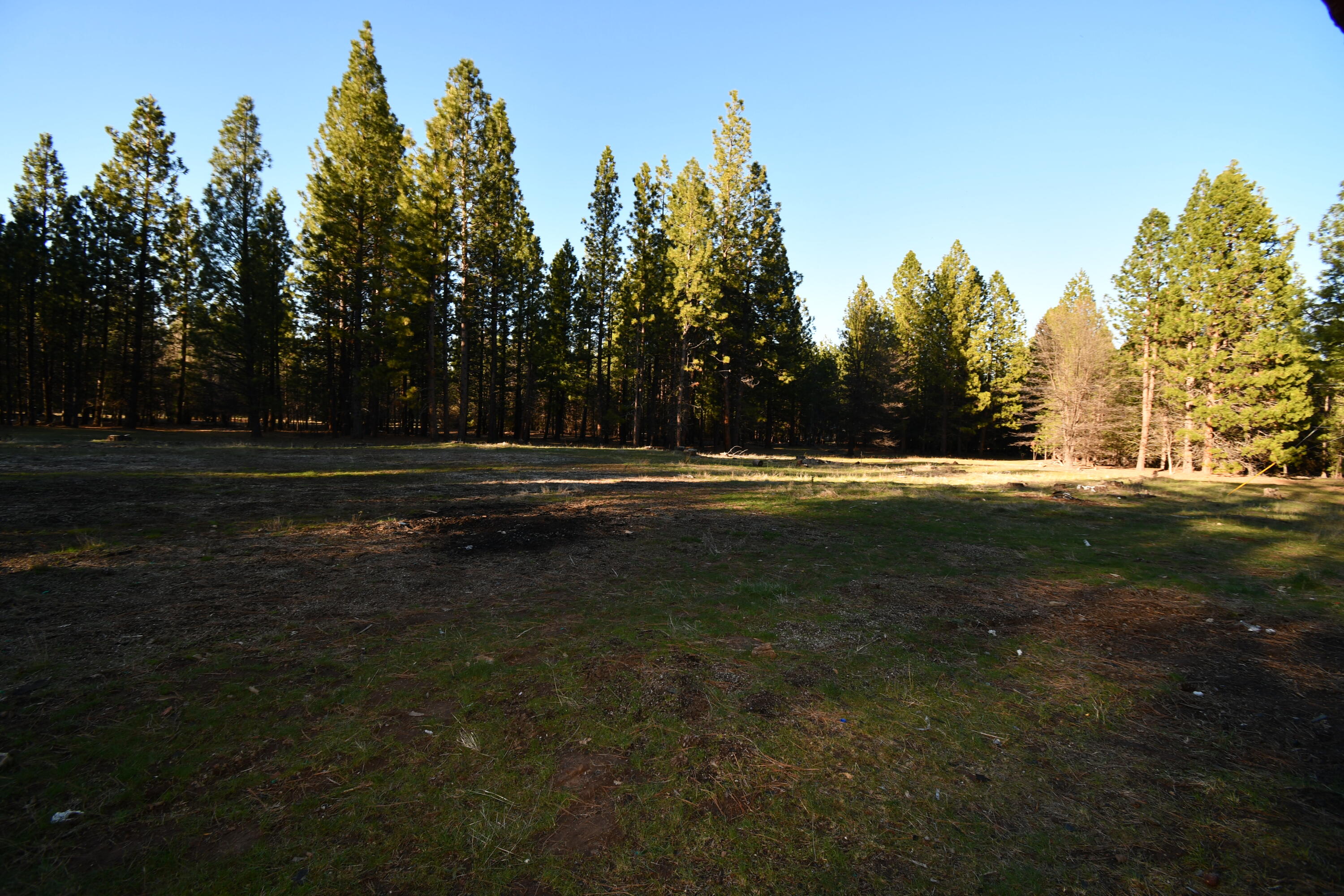 property viewer photo 43