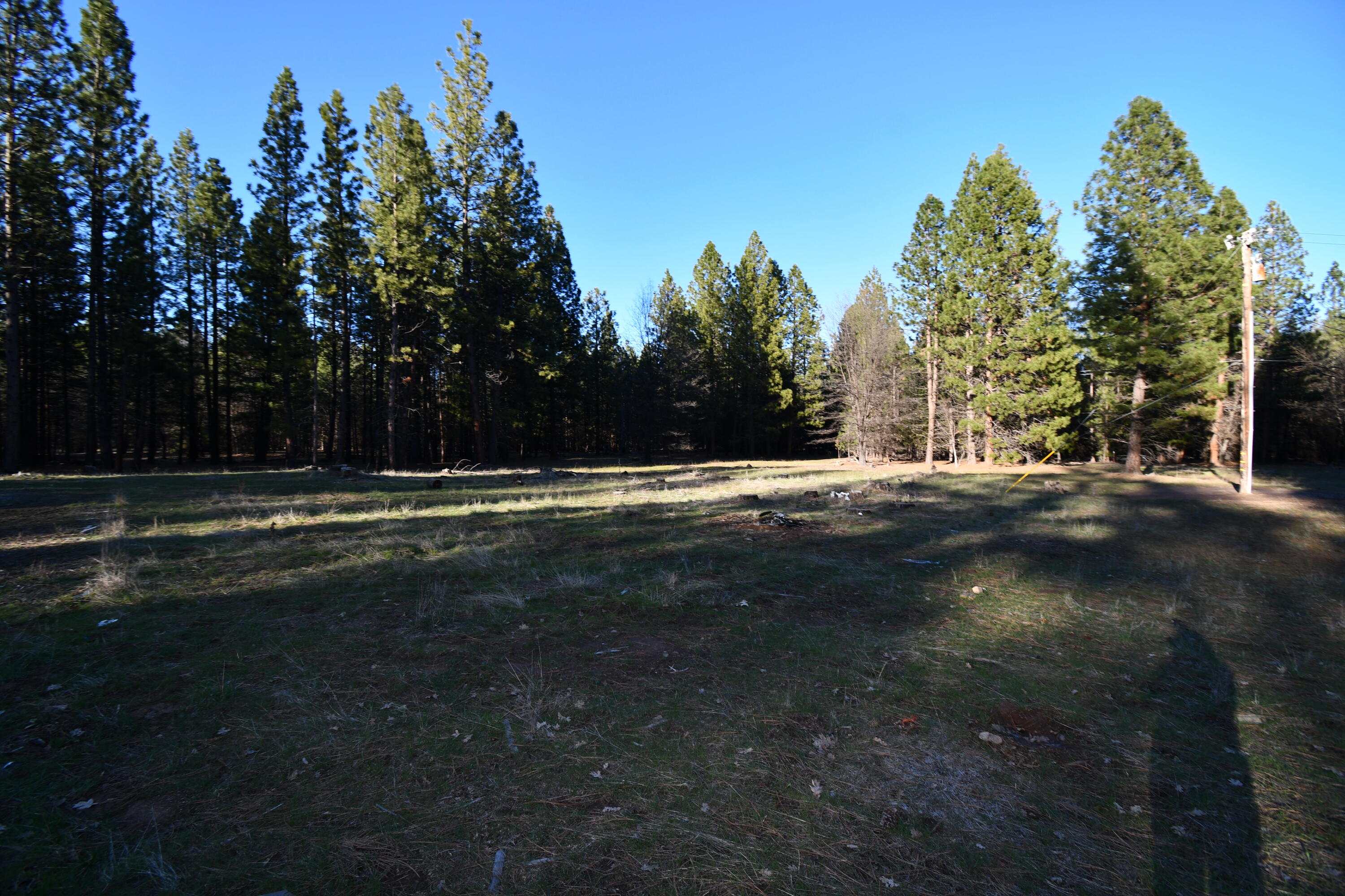 property viewer photo 46