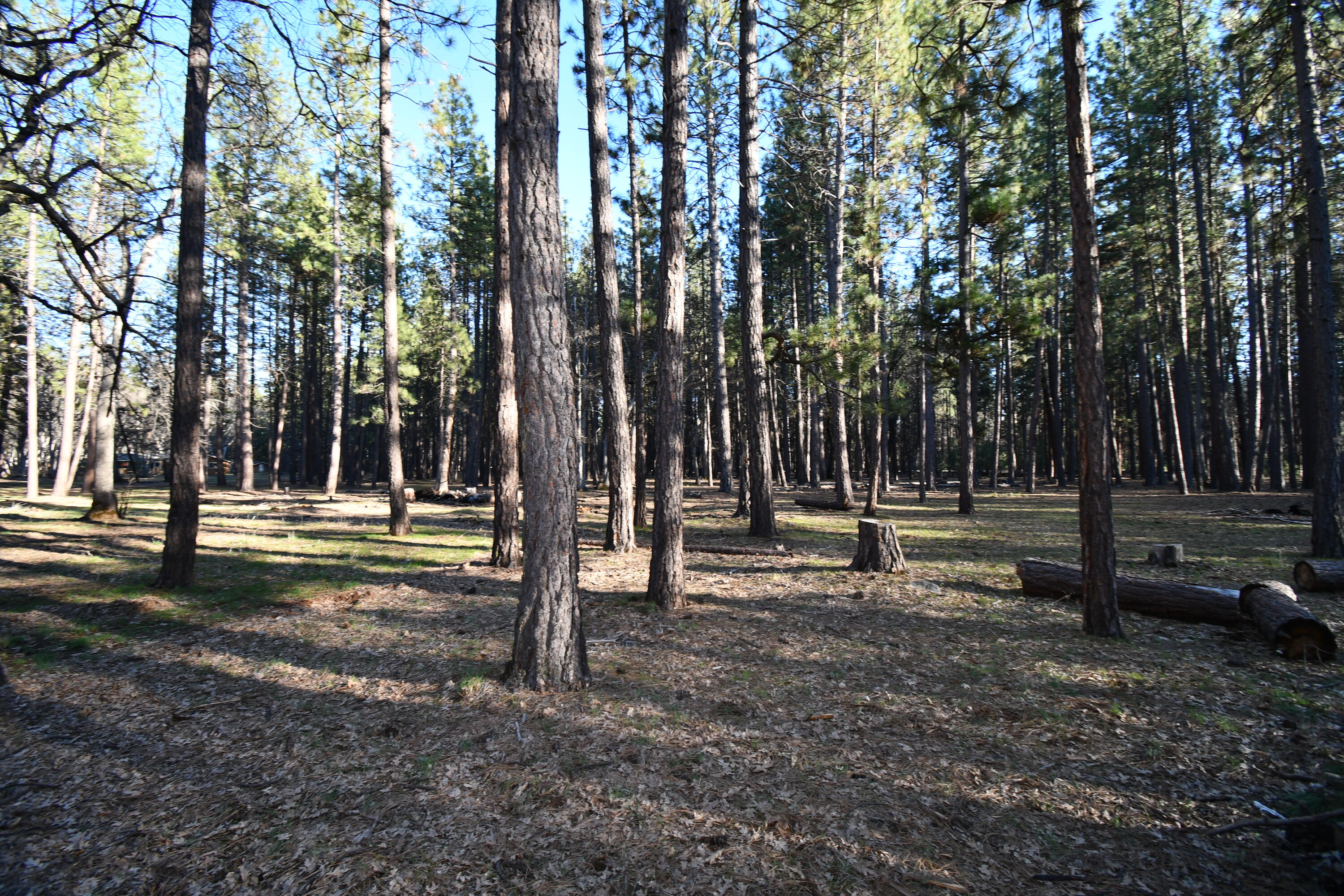 property viewer photo 53