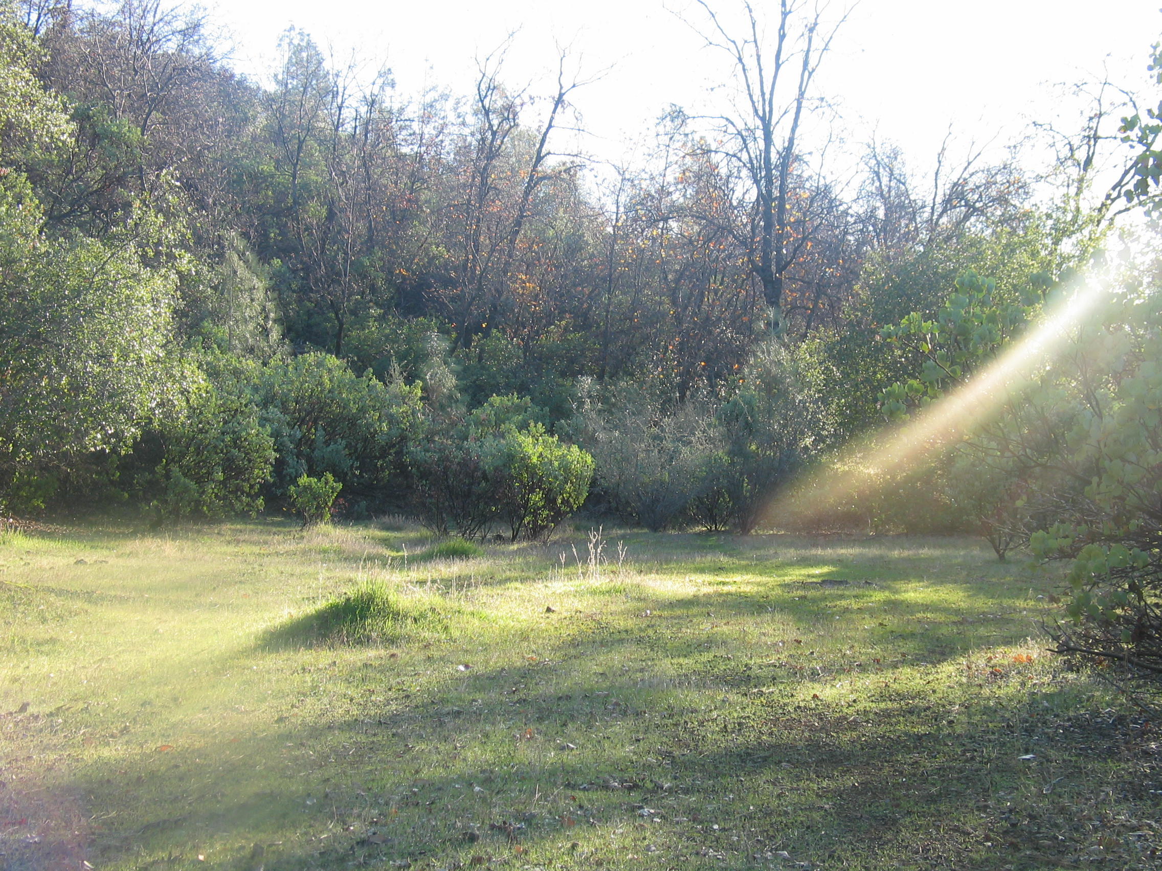 property viewer photo 10