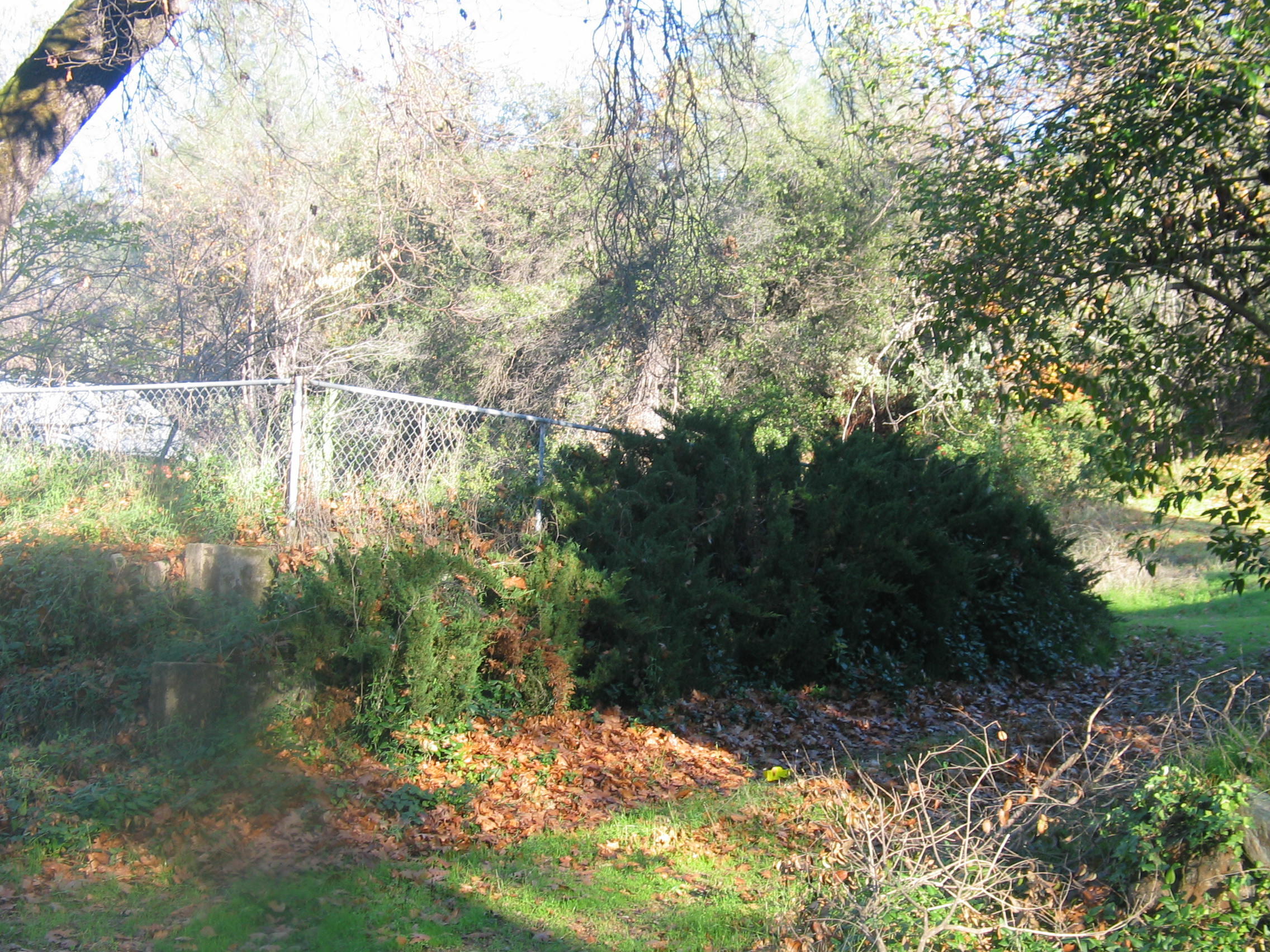 property viewer photo 2