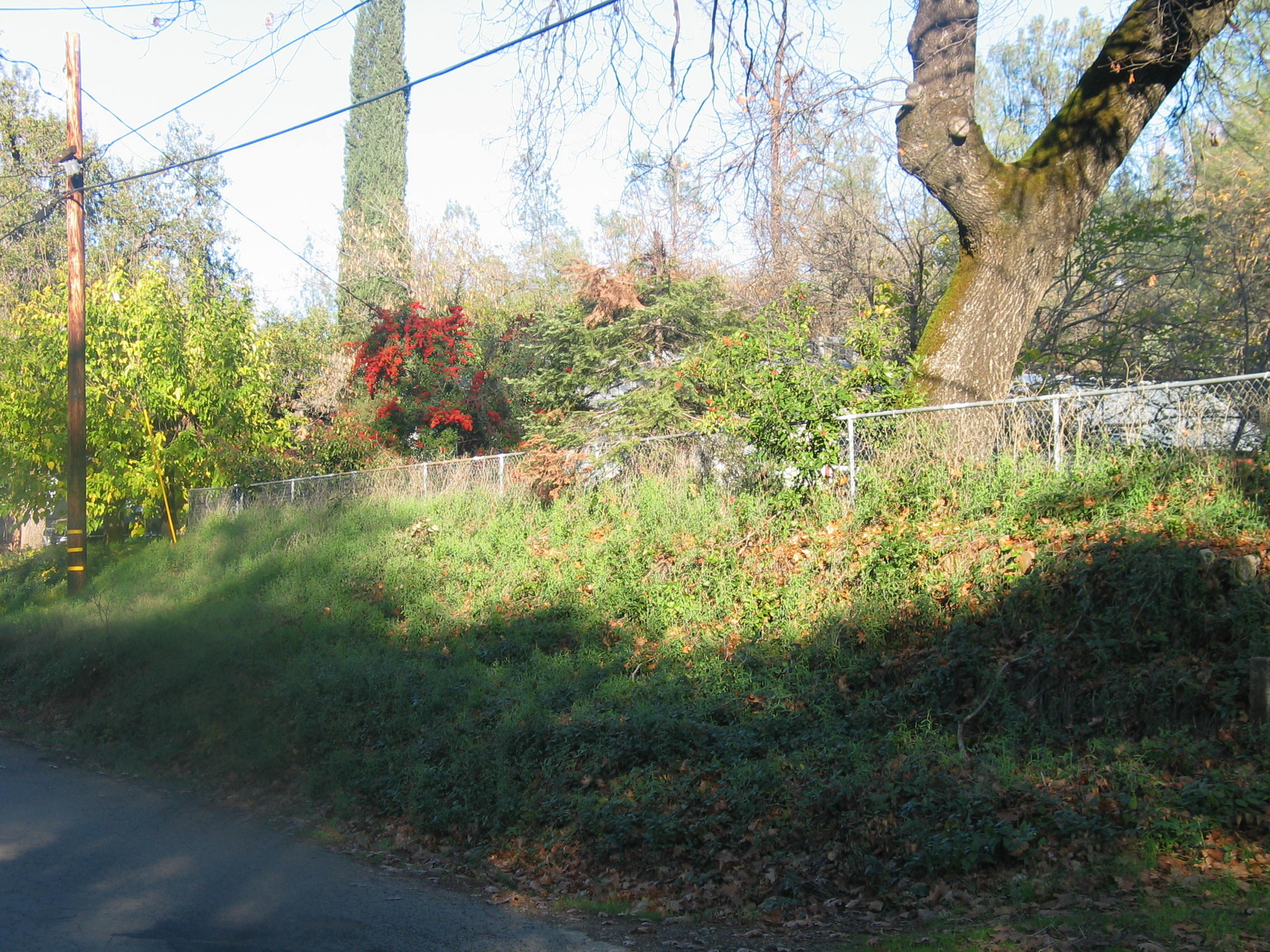 property viewer photo 3