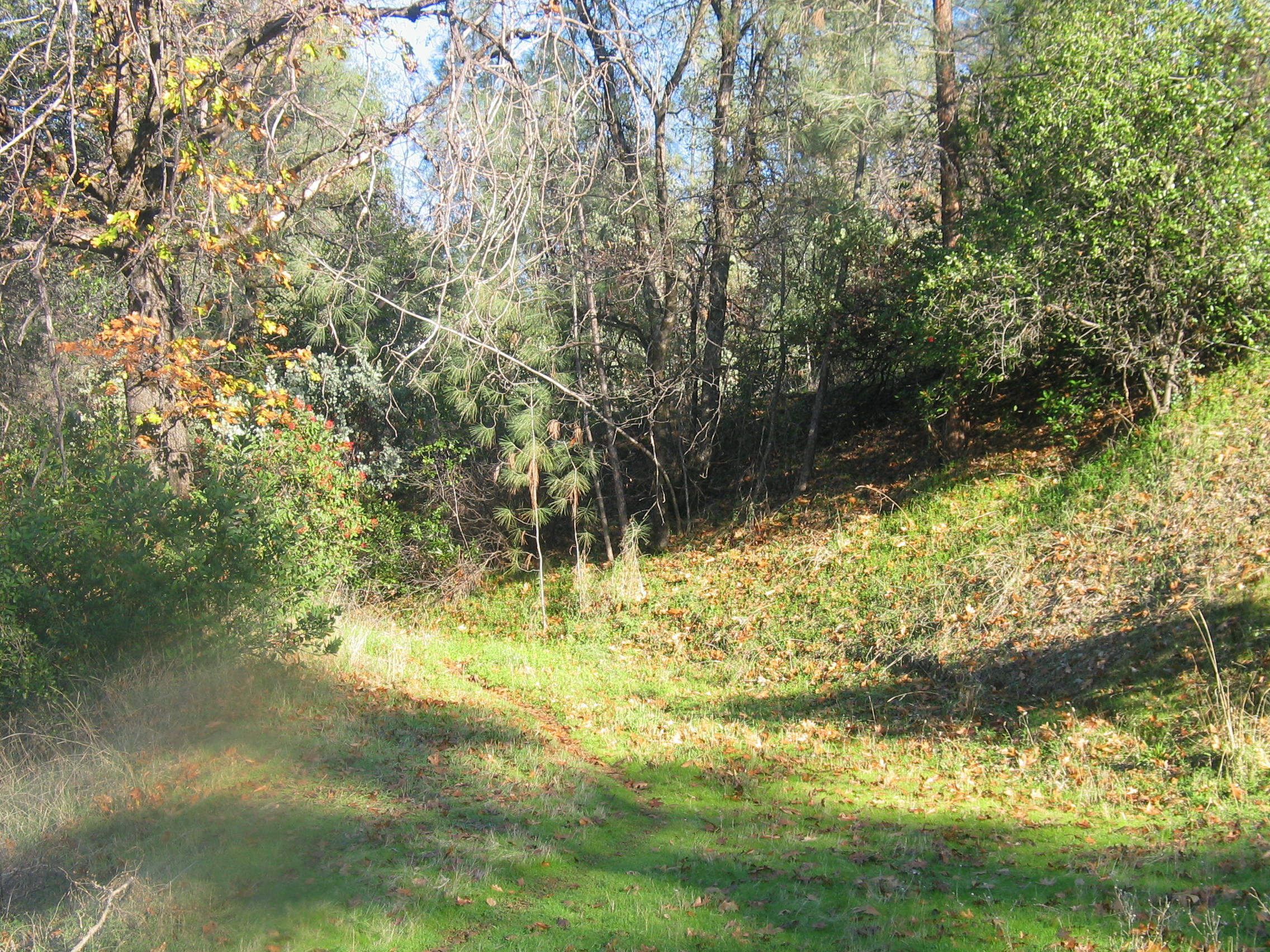 property viewer photo 4