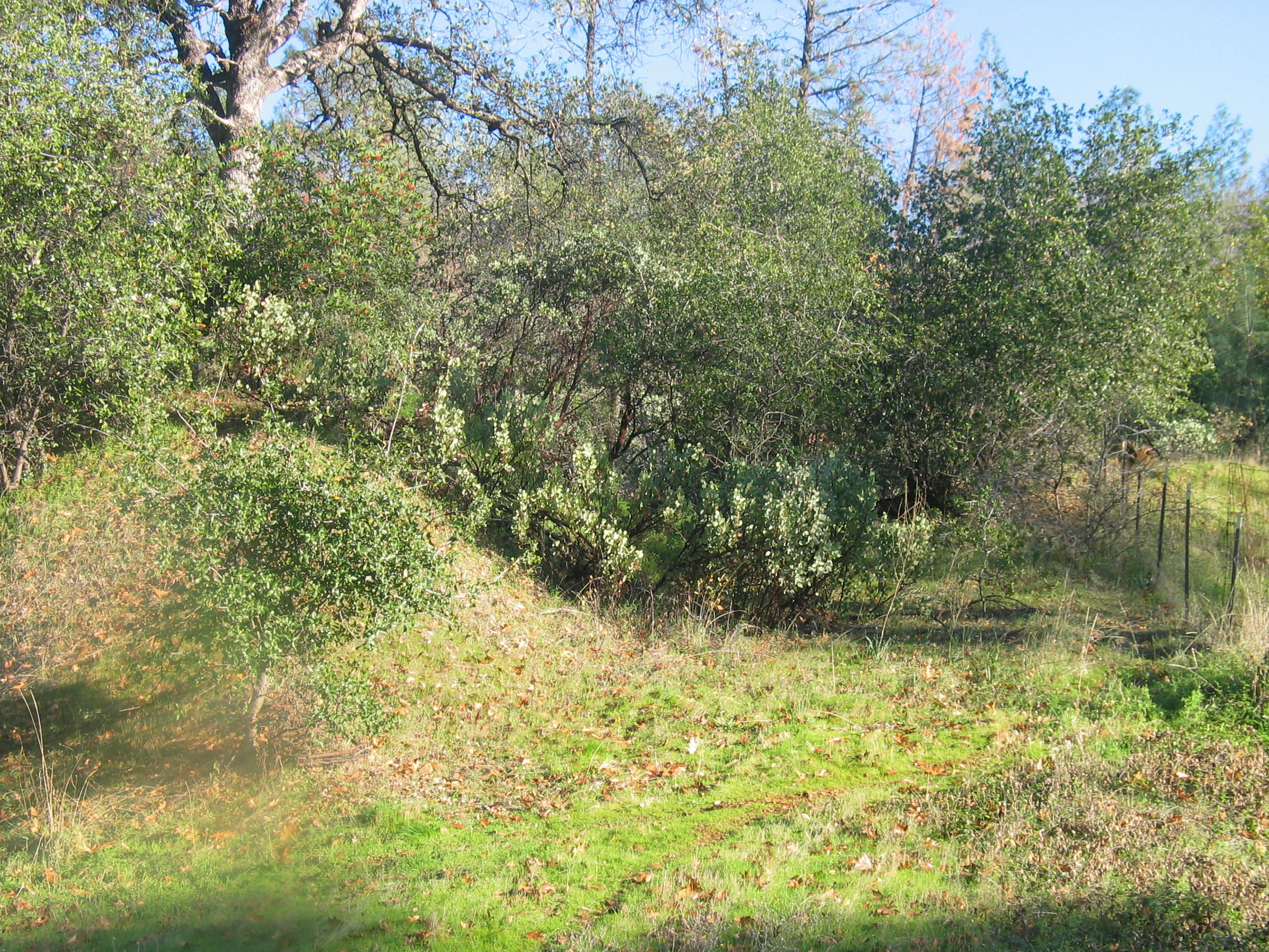 property viewer photo 5