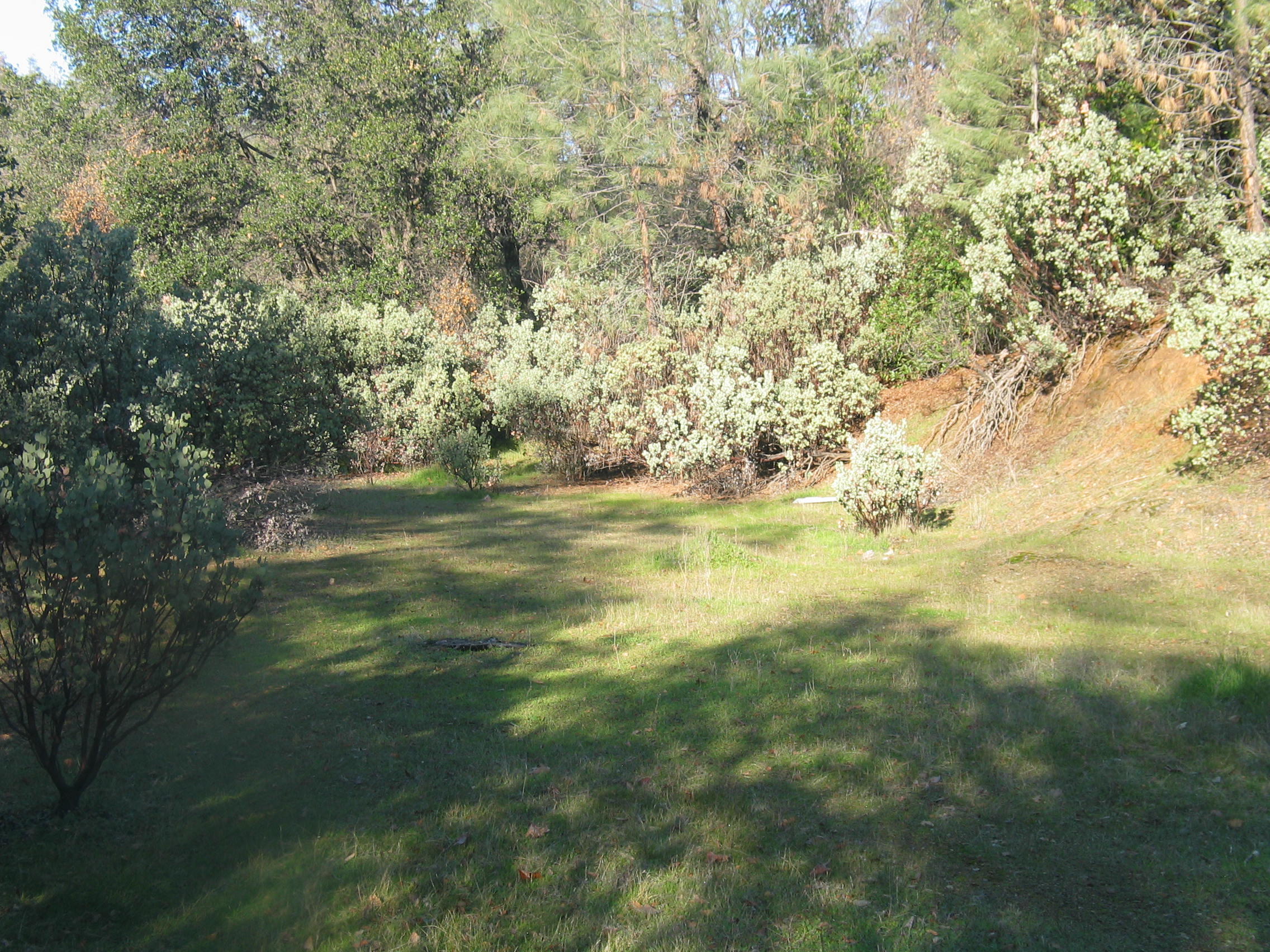 property viewer photo 8