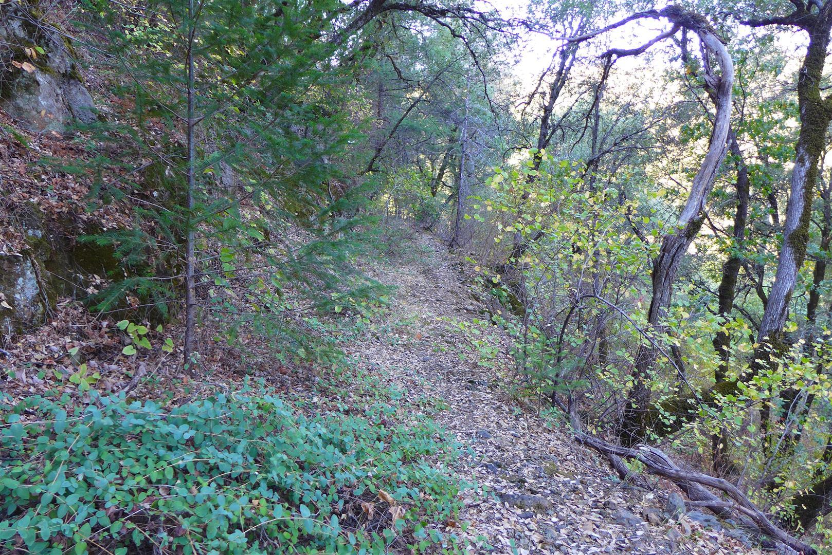 property viewer photo 14