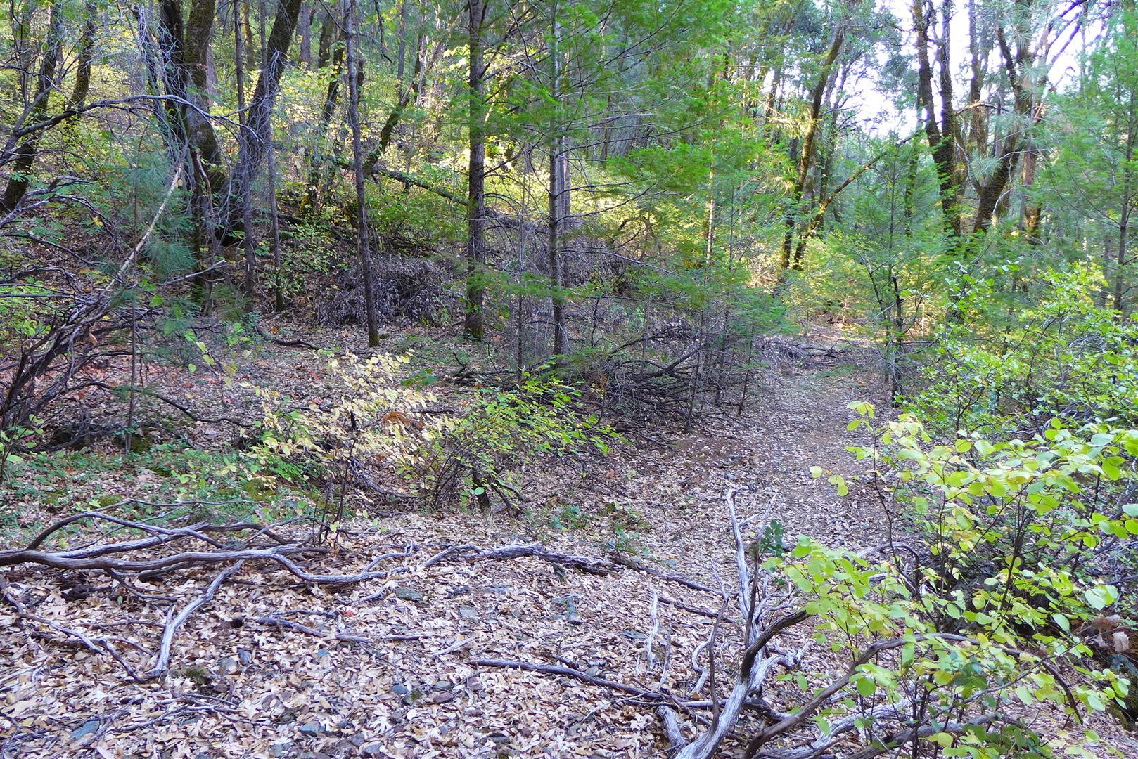 property viewer photo 15