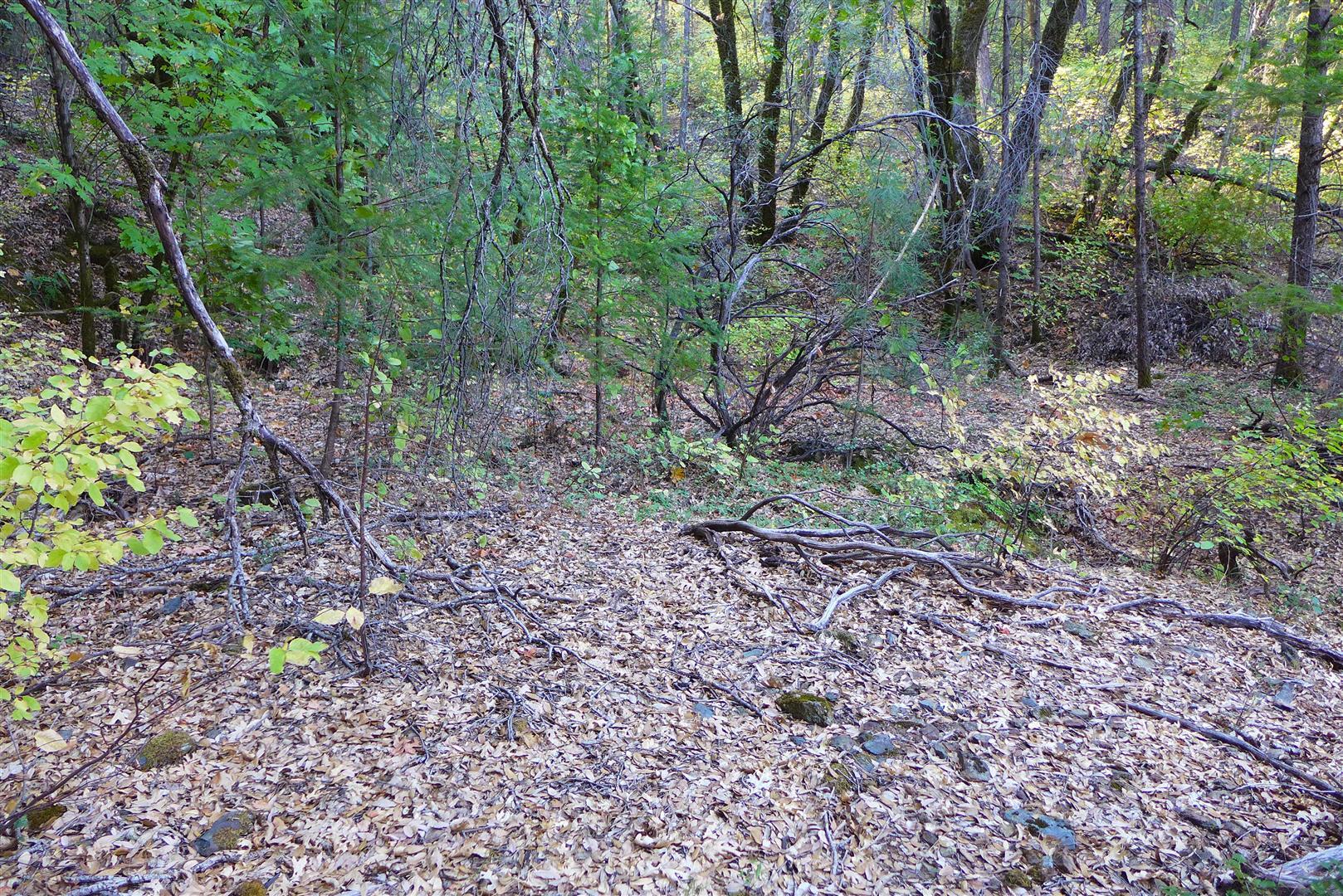 property viewer photo 16