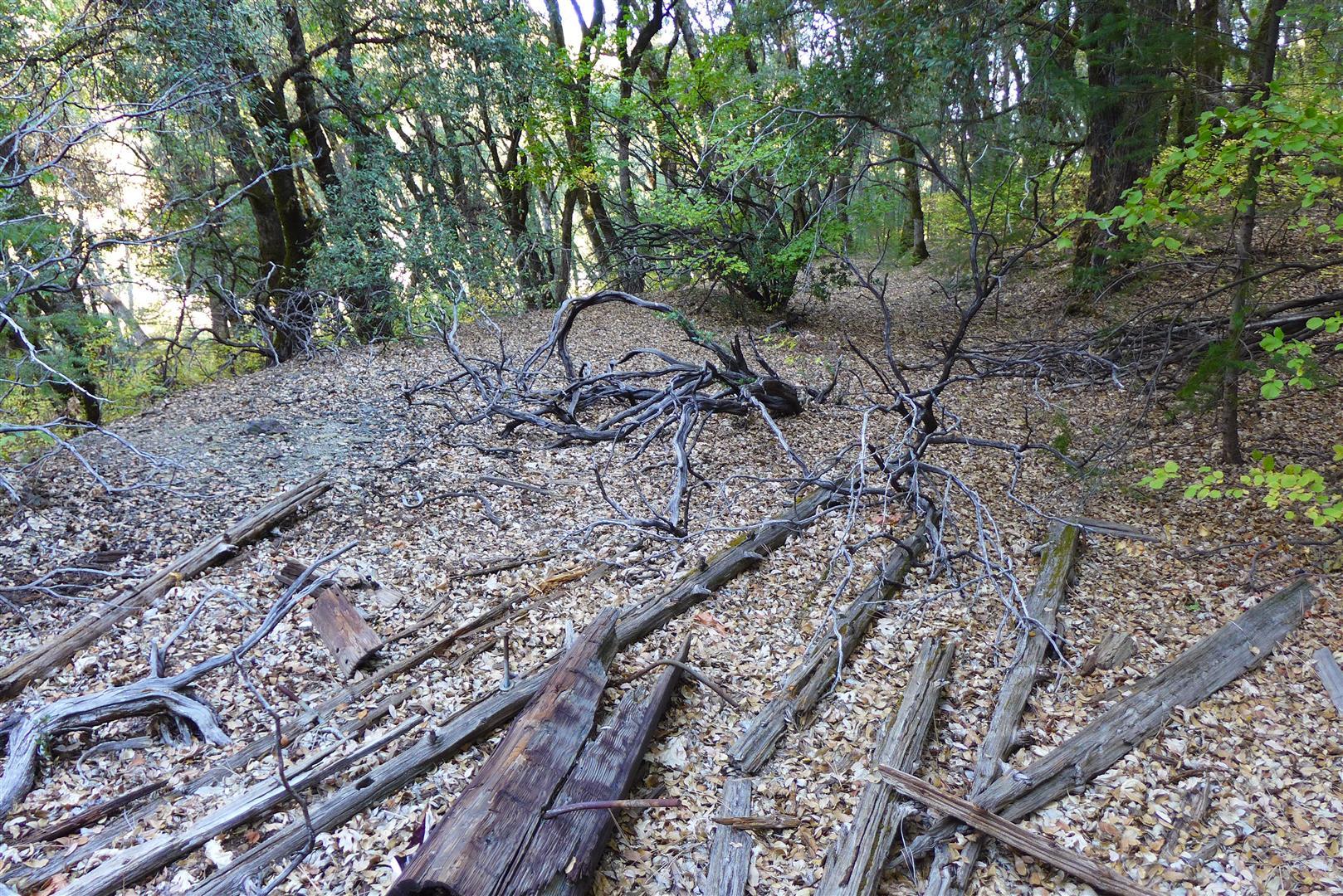 property viewer photo 17