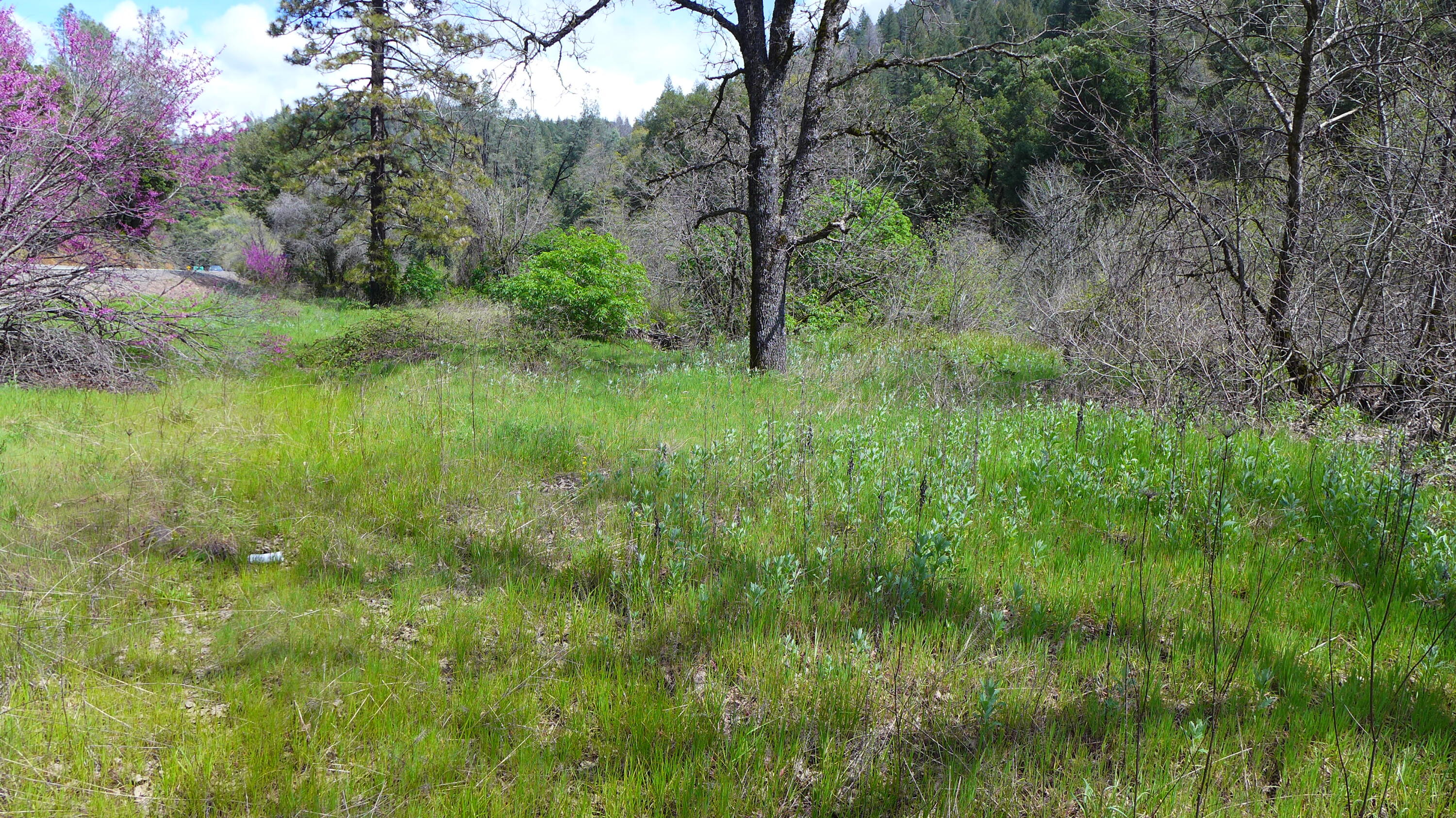property viewer photo 2