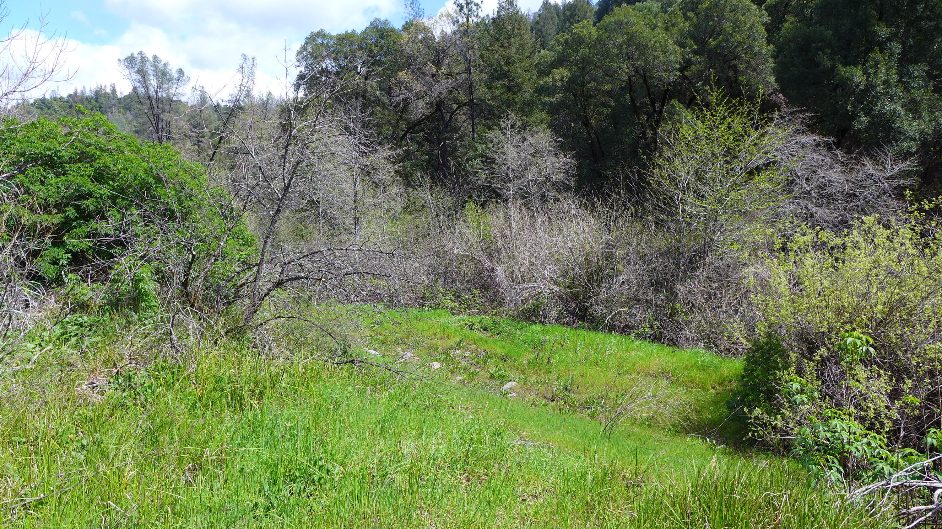 property viewer photo 3