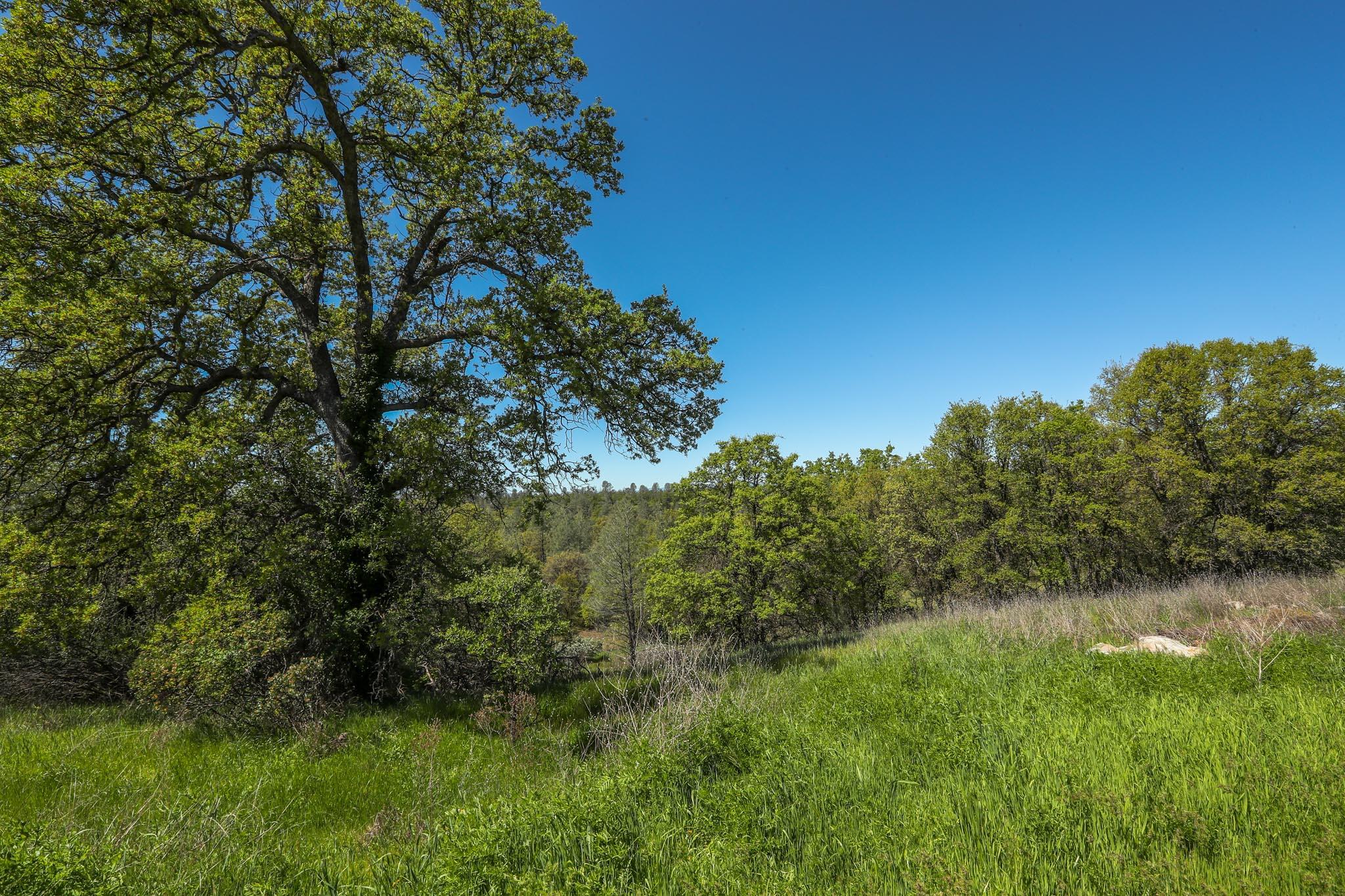 property viewer photo 84