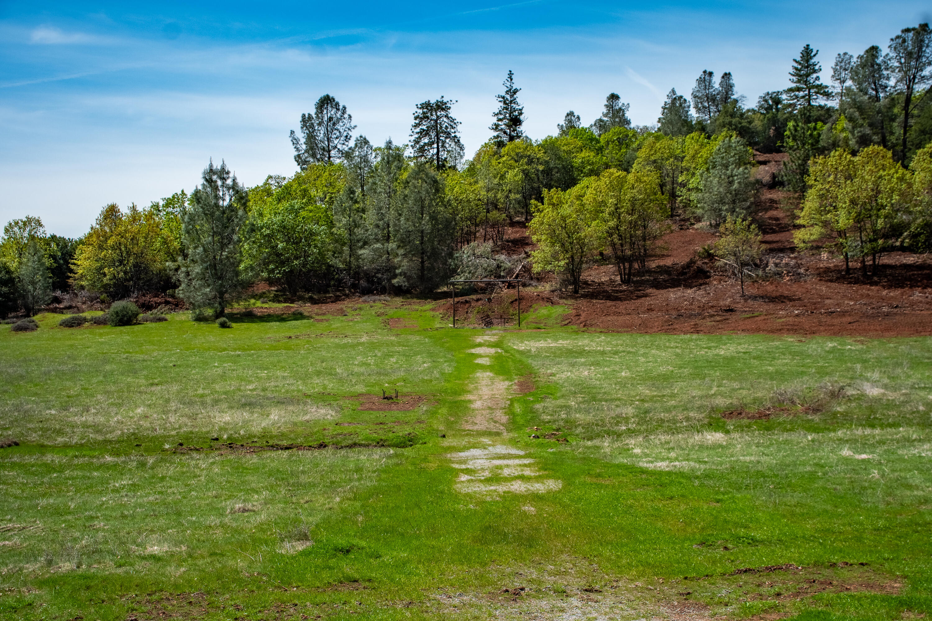 main property photo 39