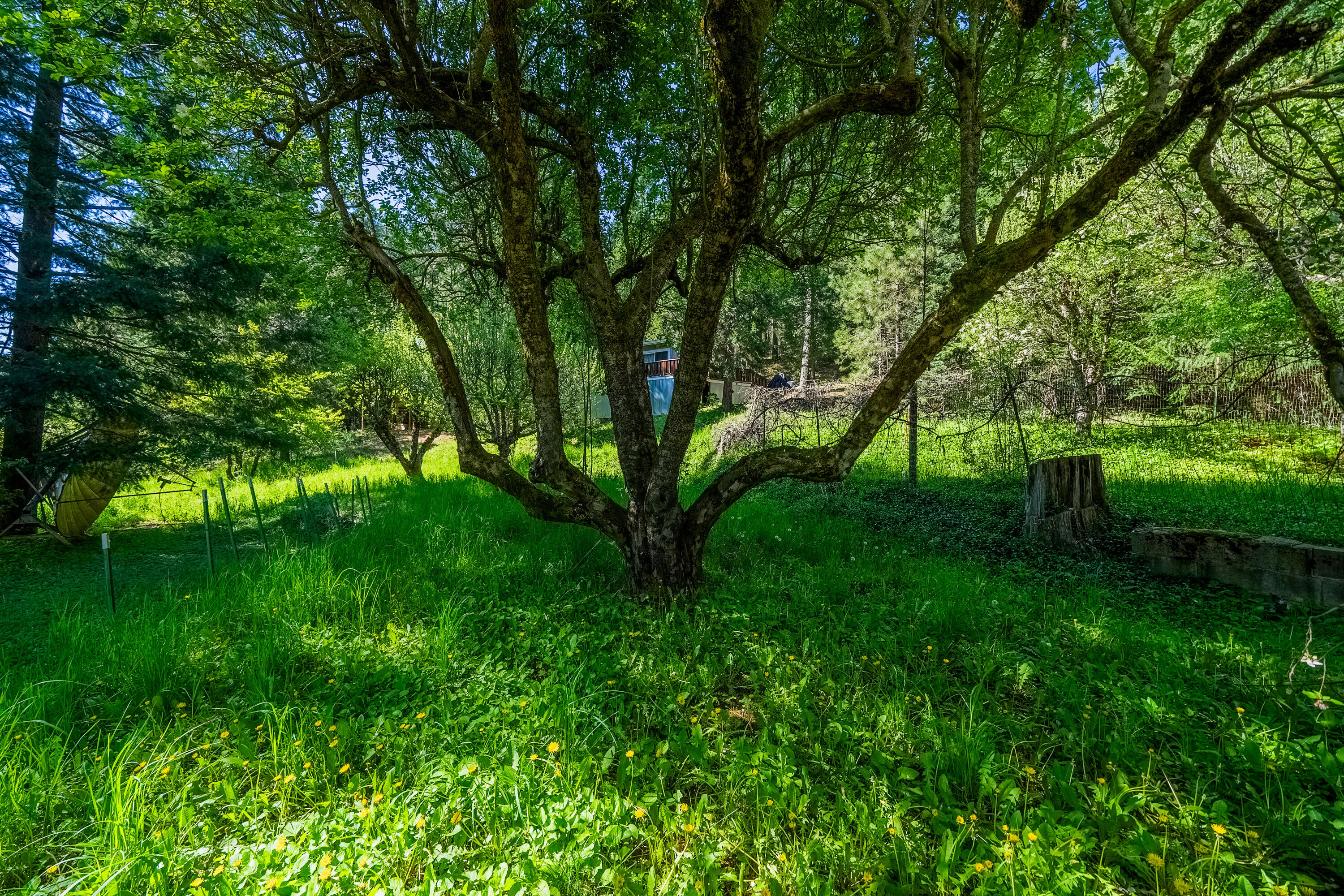 property viewer photo 33