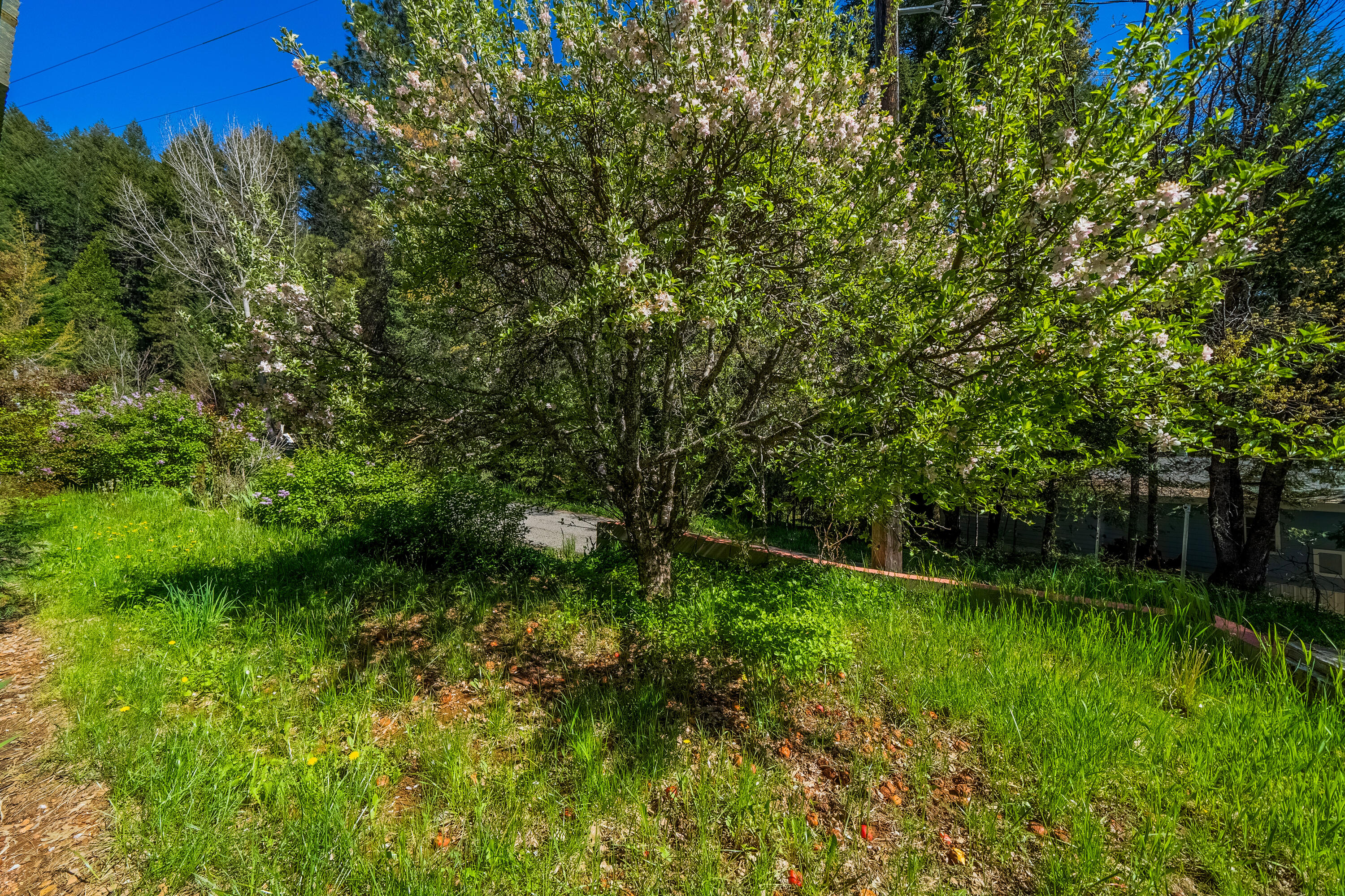 property viewer photo 4