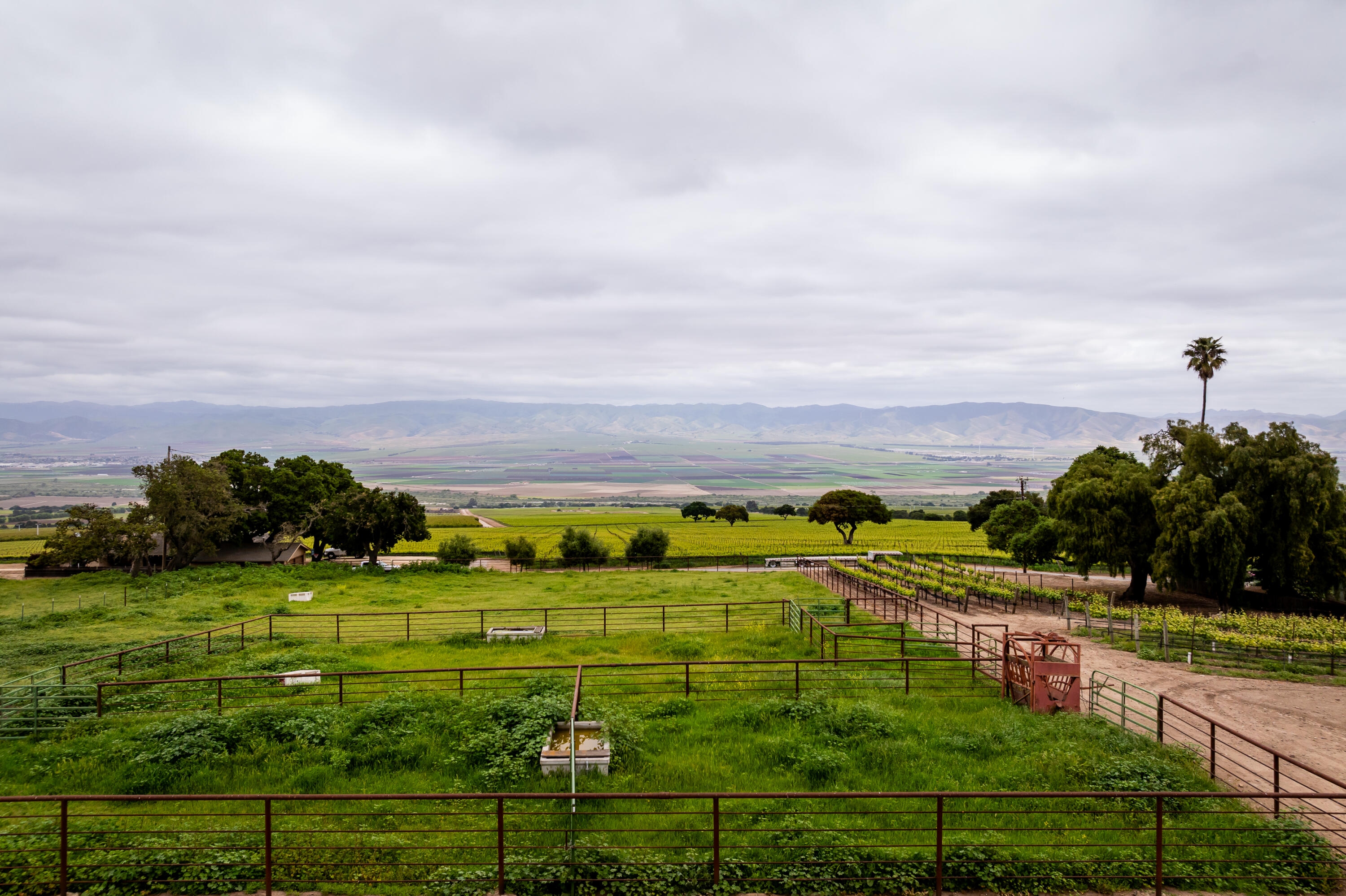 property viewer photo 71